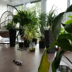 46ecbb5e-fc68-4a70-84c6-8acd1bed4482